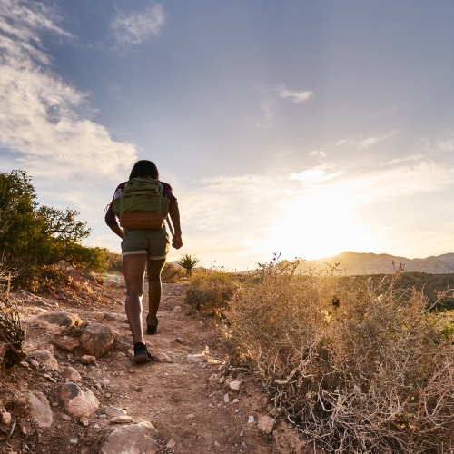 Sciatica-Relief-Ozark-Physical-Therapy-Specialists-Mountain-Home-AR